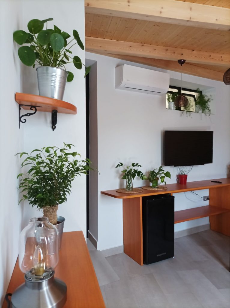 sala polivalente con office, tv, mesa, sillas y plantas.